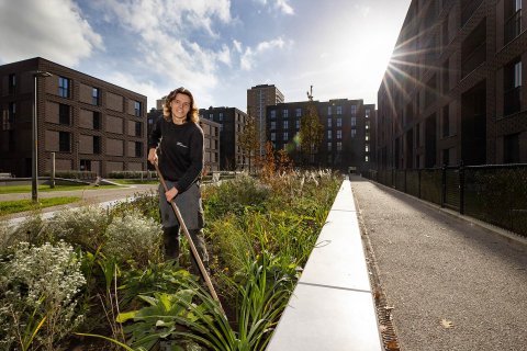 Van een schoolplein en bedrijfstuin, tot een sportpark of de openbare ruimte. Altijd met een duurzame visie op mens en natuur.