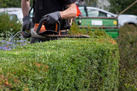 Bij Dolmans Landscaping Group kunnen we de groenaanleg en het -beheer een maatschappelijk verantwoorde dimensie geven door bij de werkzaamheden mensen met een afstand tot de arbeidsmarkt te betrekken.