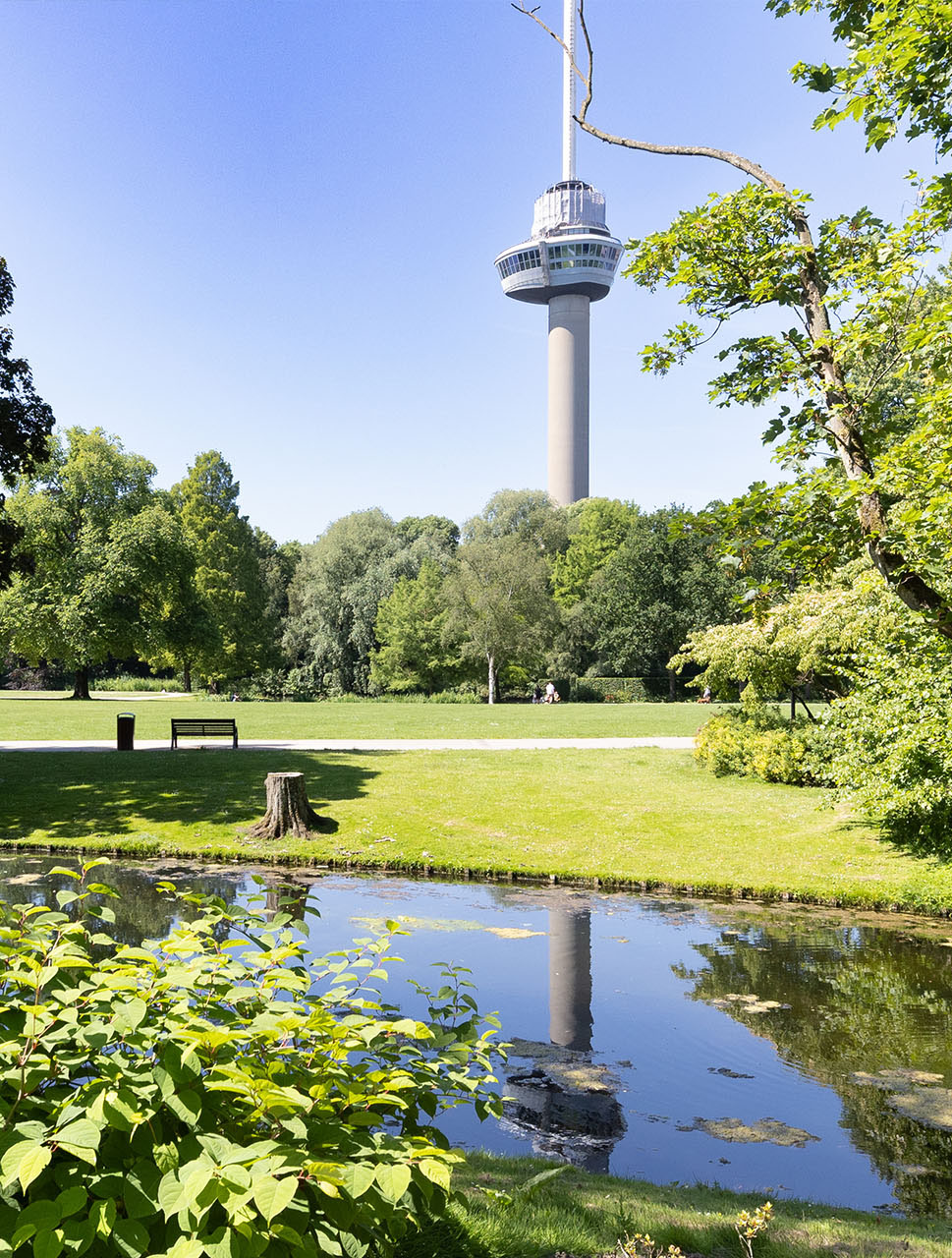 Dolmans Landscaping Group realiseert, onderhoudt en beheert al meer dan zestig jaar groen en bijbehorende civieltechnische projecten.