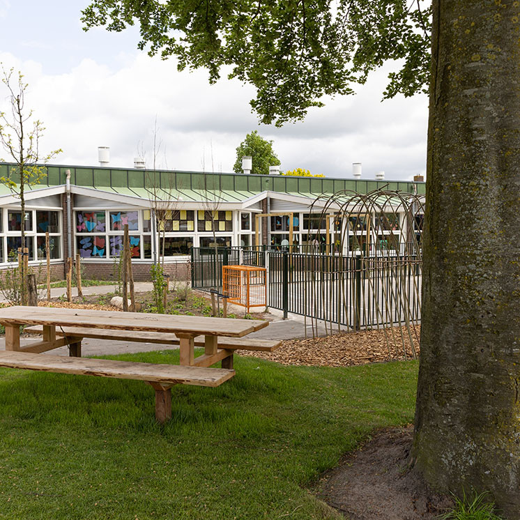 In samenwerking met het IVN wilde de basisschool het grijze schoolplein omtoveren tot een groene, schaduwrijke en uitdagende omgeving om te spelen, leren en bewegen.