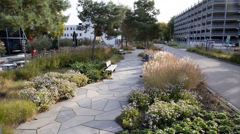 Bovendien is er onder de parkstenen gekozen voor een waterbergende fundering.