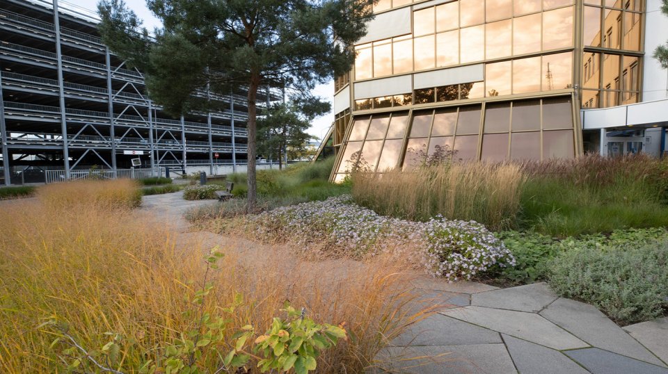 Het buitenterrein van de hoofdcampus van ASML in Veldhoven ziet er uit als een kwalitatief hoogwaardig stadspark.