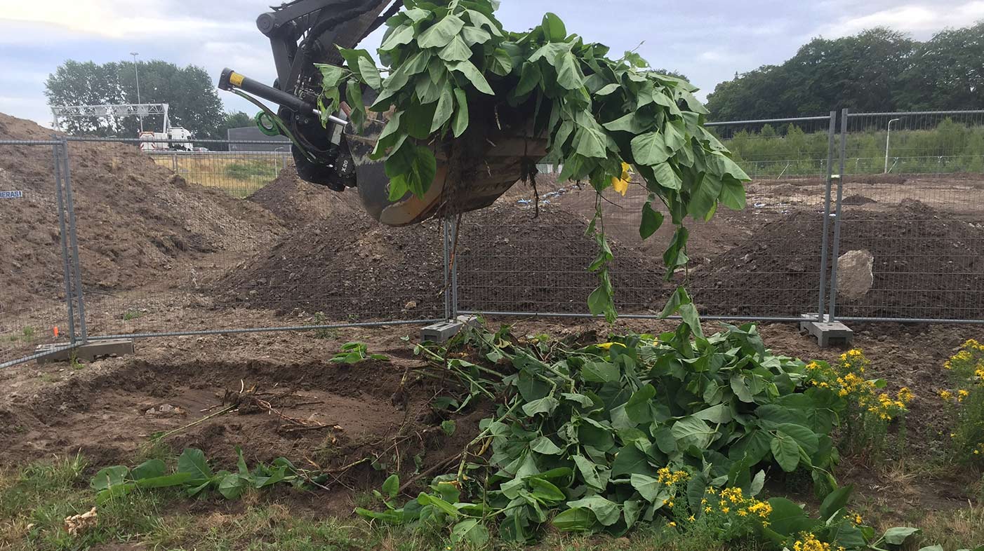 Het plan gaat in op een heel aantal activiteiten en processen. Varierend van inzage in klachten, wensen en verzoeken van burgers.