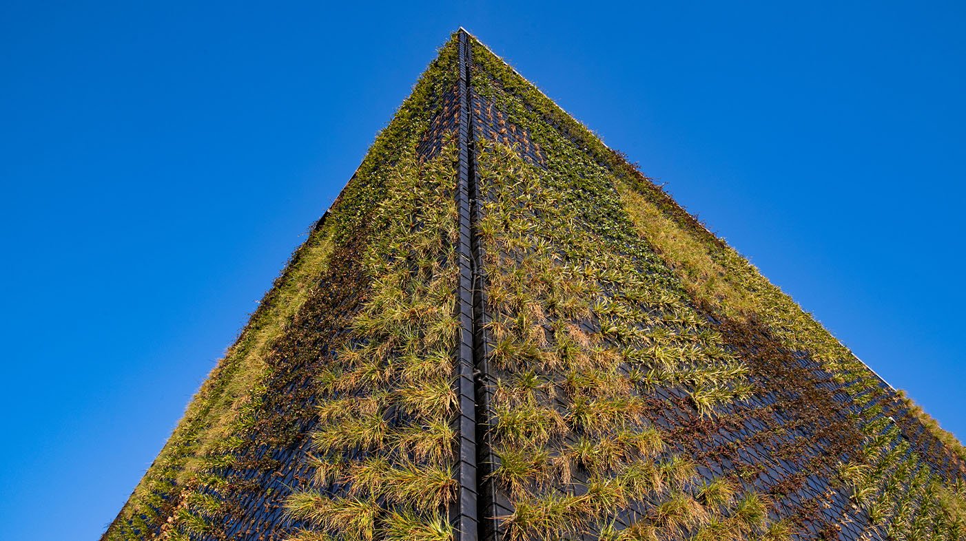 In Wijnegem, net onder Antwerpen, hebben wij een imposante groene wand mogen aanleggen.