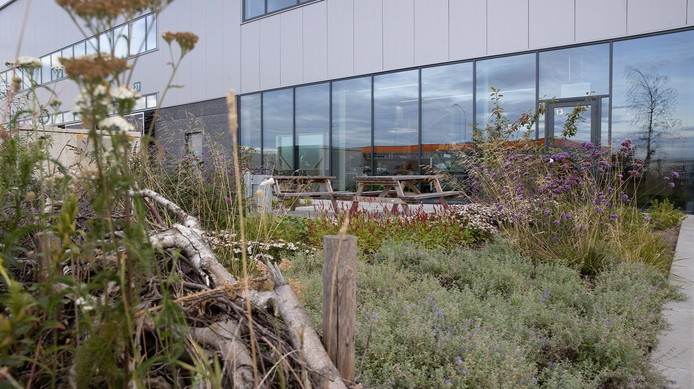 In opdracht van Van der Heijden bouw en ontwikkeling zorgde Dolmans Landscaping Services Brabant en Dolmans L+P Ontwerpers en Adviseurs voor het advies.