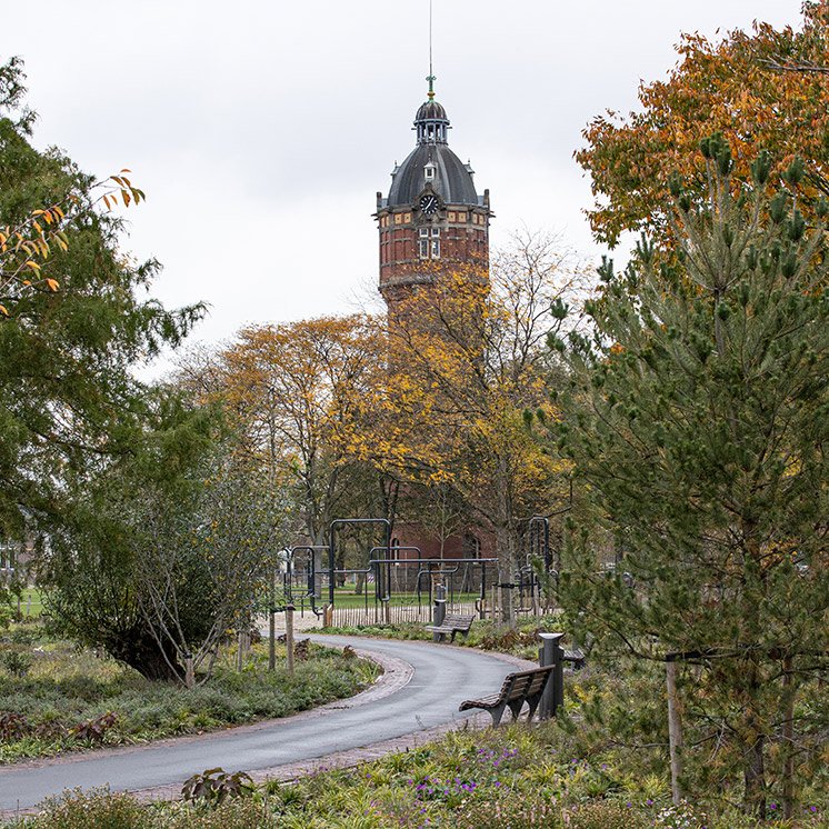 Tussen de monumentale bomen zijn extra bomen geplant en is groeiplaatsverbetering toegepast.