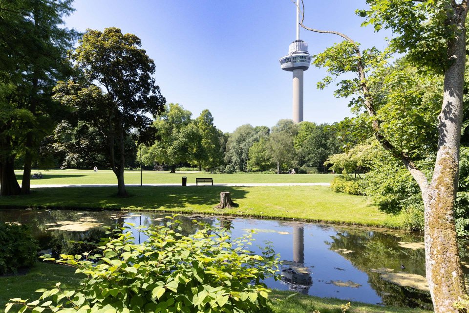 Onze waardepropositie realiseert sociaalmaatschappelijke meerwaarde voor met name klanten in het binnenstedelijk groene leefklimaat.