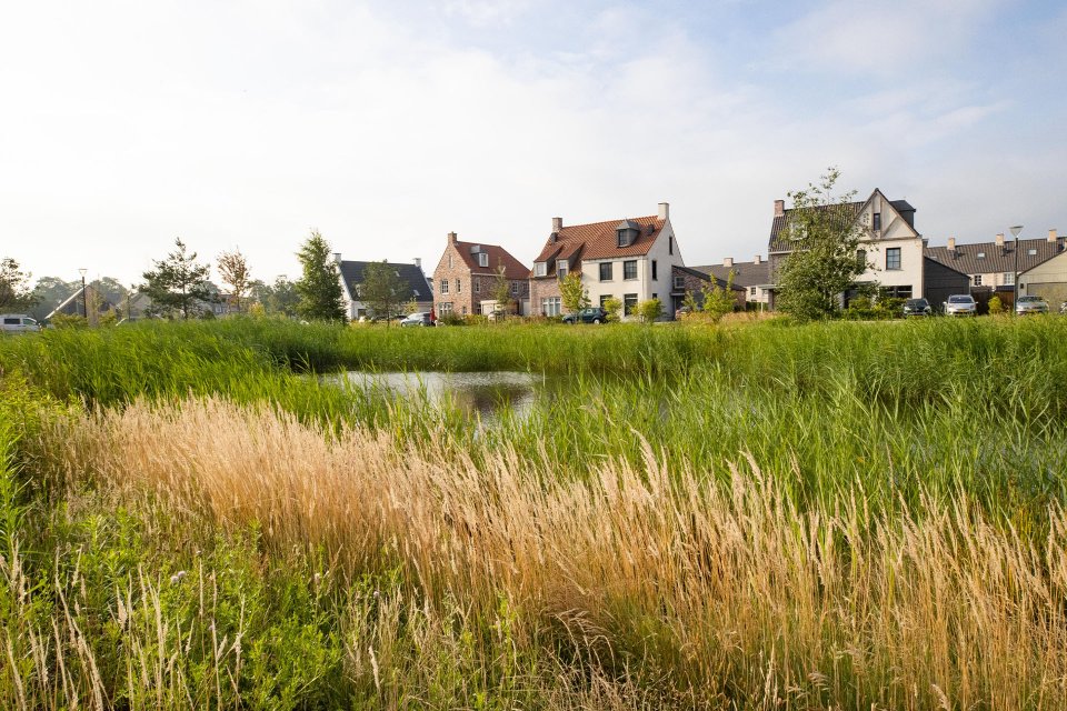 We vertalen de behoeftes op een integrale manier en zo dragen onze specialisten bij aan een gezond leefklimaat en een groene, prettige leefomgeving.