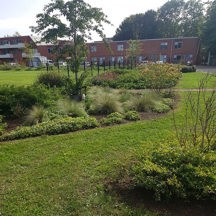 In een buitenwijk van Groningen ligt dit prachtige park met mooie volle borders en talrijke bloemen.