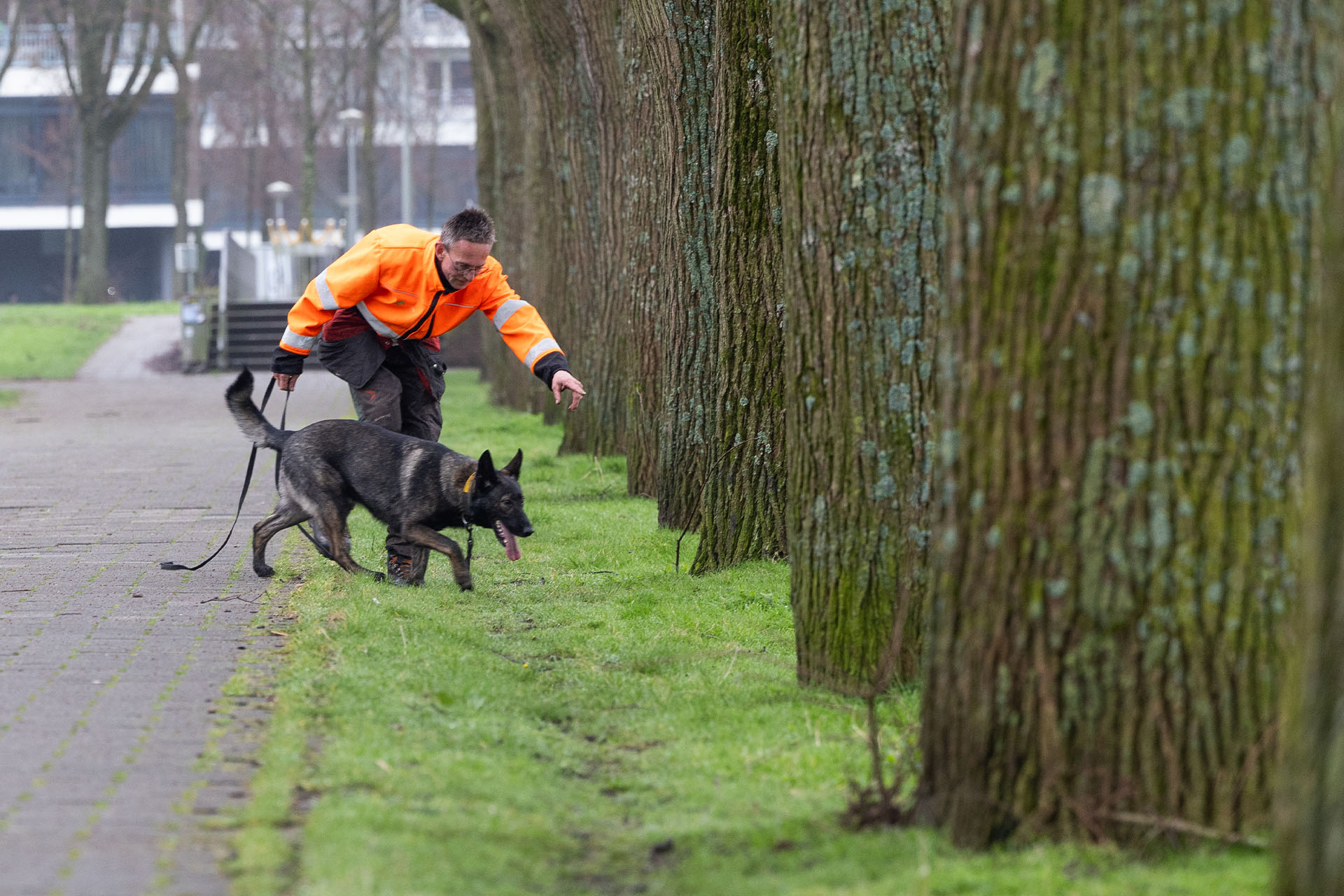 DLG - Nieuwsbericht - Speurhond - Banner