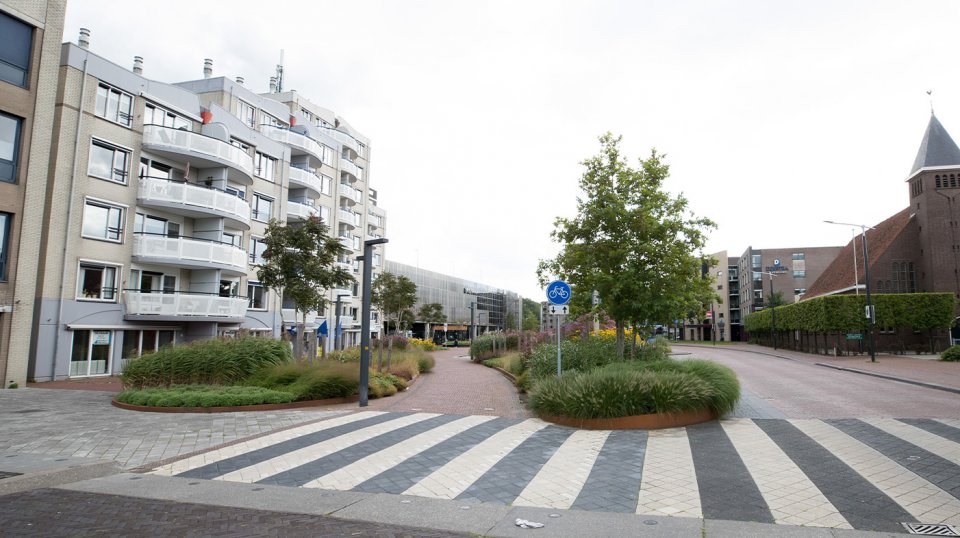 Voor het busstation zijn grote solitaire bomen en 14.000 vaste planten uitgezocht en geplant in enorme bloembakken.