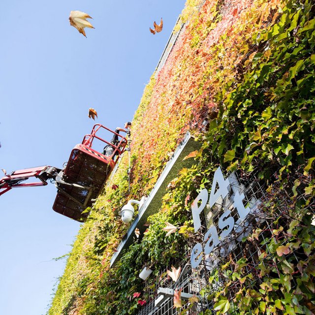 Dolmans heeft een Ecologisch Beheerplan opgesteld waarin het ecologisch landschapsbeheer continu integraal wordt gemanaged.