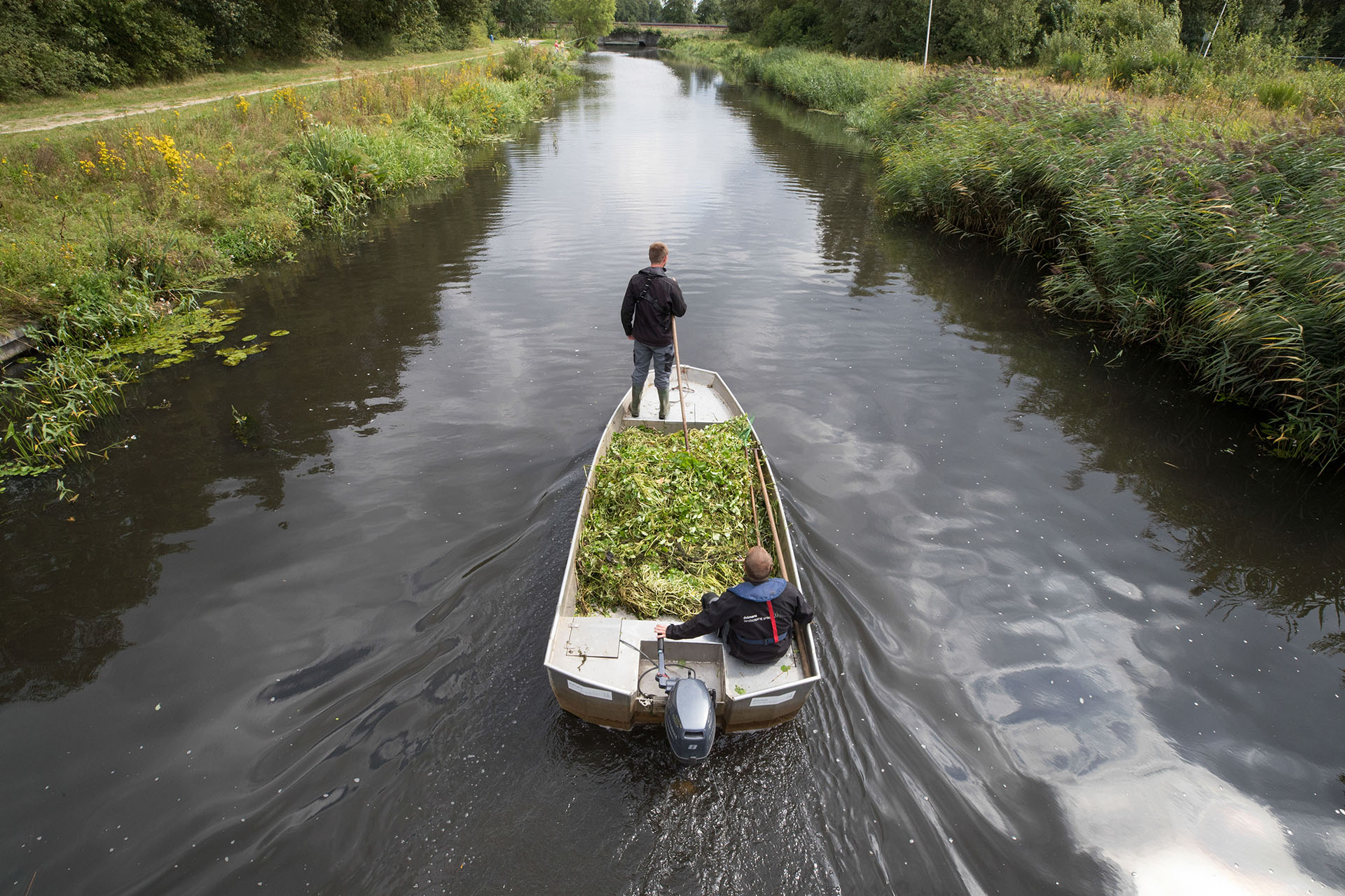 In opdracht van het waterschap Drents Overijsselse Delta heeft Dolmans Landscaping Services Noord de invasieve, exotische waternavel verwijderd.