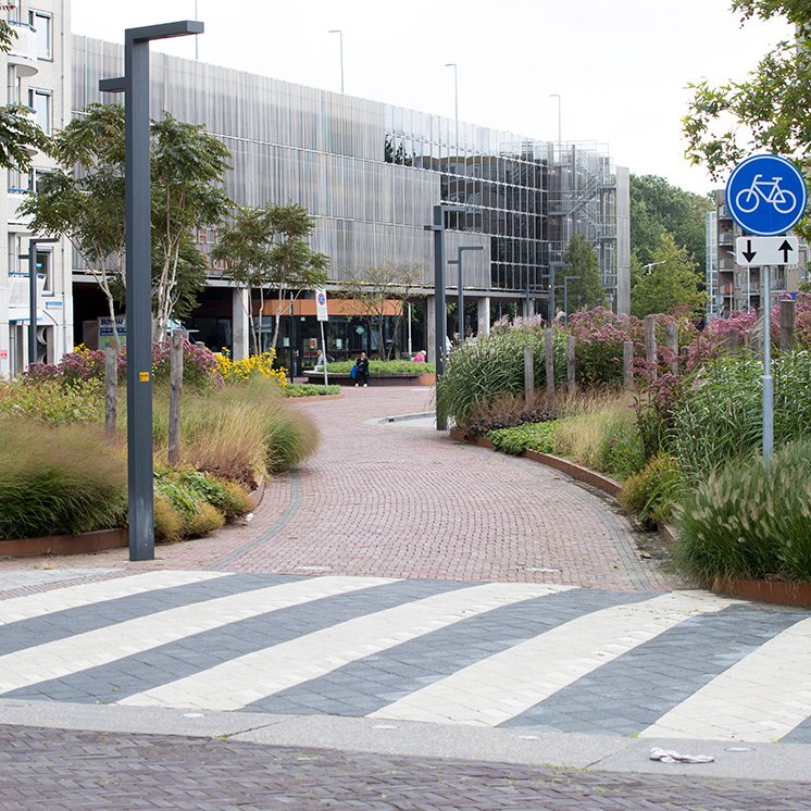 De gemeente had een mooi beeld voor ogen van een oase van bloemen en grote solitaire bomen.