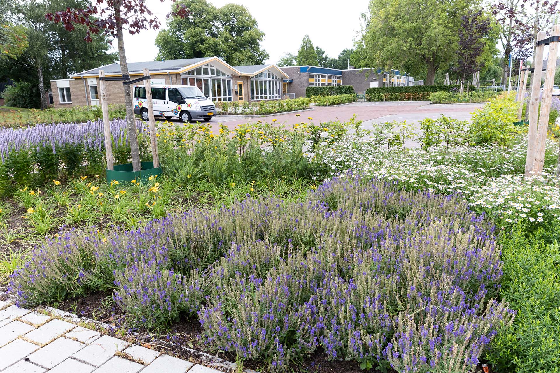 De opdracht was duidelijk: Maak na de infrastructurele reconstructie van de straten rondom de school een bloemrijk visitekaartje voor het dorp.