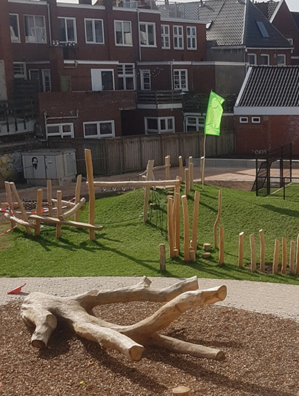 Het creeren van een groene speelplek voor IKC Borman Ebbinge, een school in hartje Groningen.