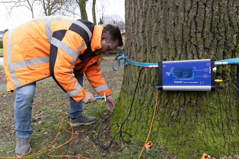 We doen uitgebreid boomonderzoek om de veiligheid van de omgeving te kunnen bepalen, zoals stabiliteitsonderzoek van oude bomen (Nader Technisch Onderzoek NTO).