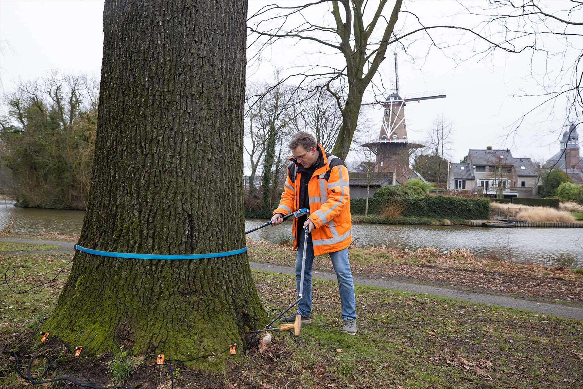 Voordat we tot planten overgaan, passen we een groeiplaatsonderzoek toe, waarbij we onder andere bodemanalyses maken.