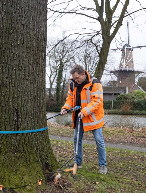 Voordat we tot planten overgaan, passen we een groeiplaatsonderzoek toe, waarbij we onder andere bodemanalyses maken.