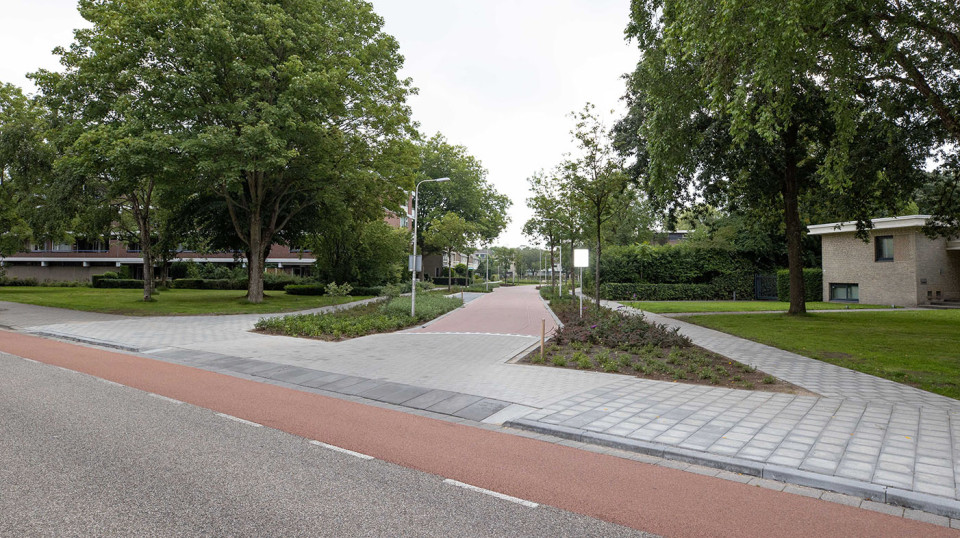 Het wegprofiel is zodanig ingericht dat de bestaande bomen behouden blijven en overbodige trottoirs zijn komen te vervallen.