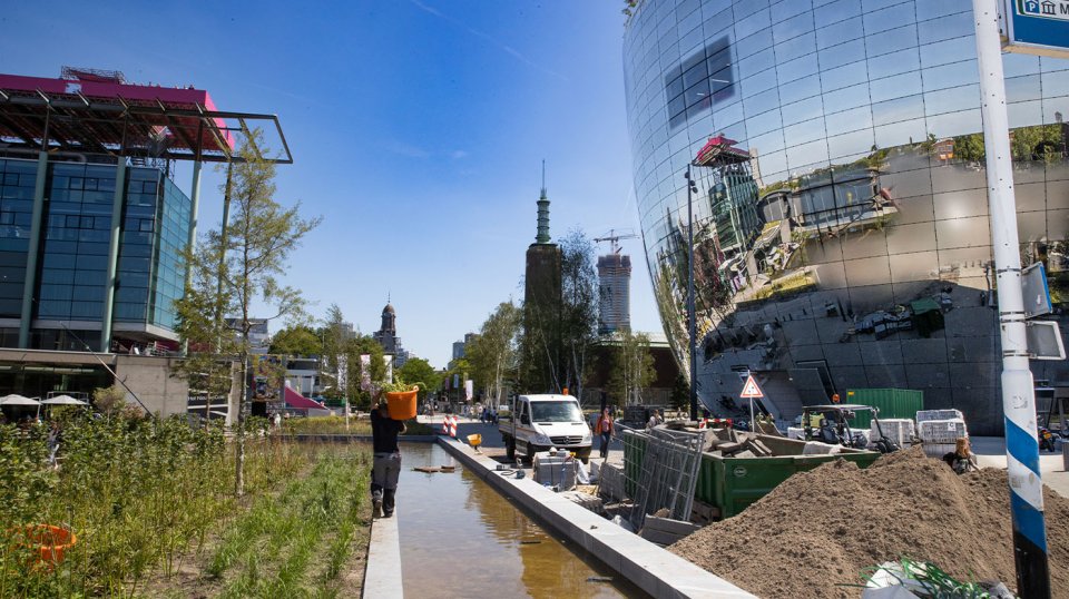 De locatie van de aanplant en de kans om zo midden in de stad het groen en leefklimaat te stimuleren maakt deze opdracht uniek.