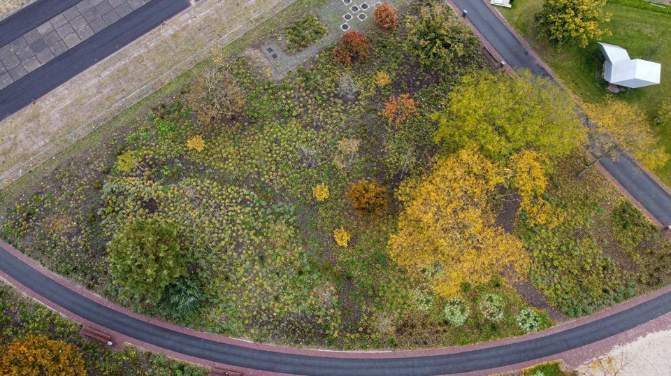 De aanleg van een klassiek buurtpark voor het gehele Amstelkwartier.