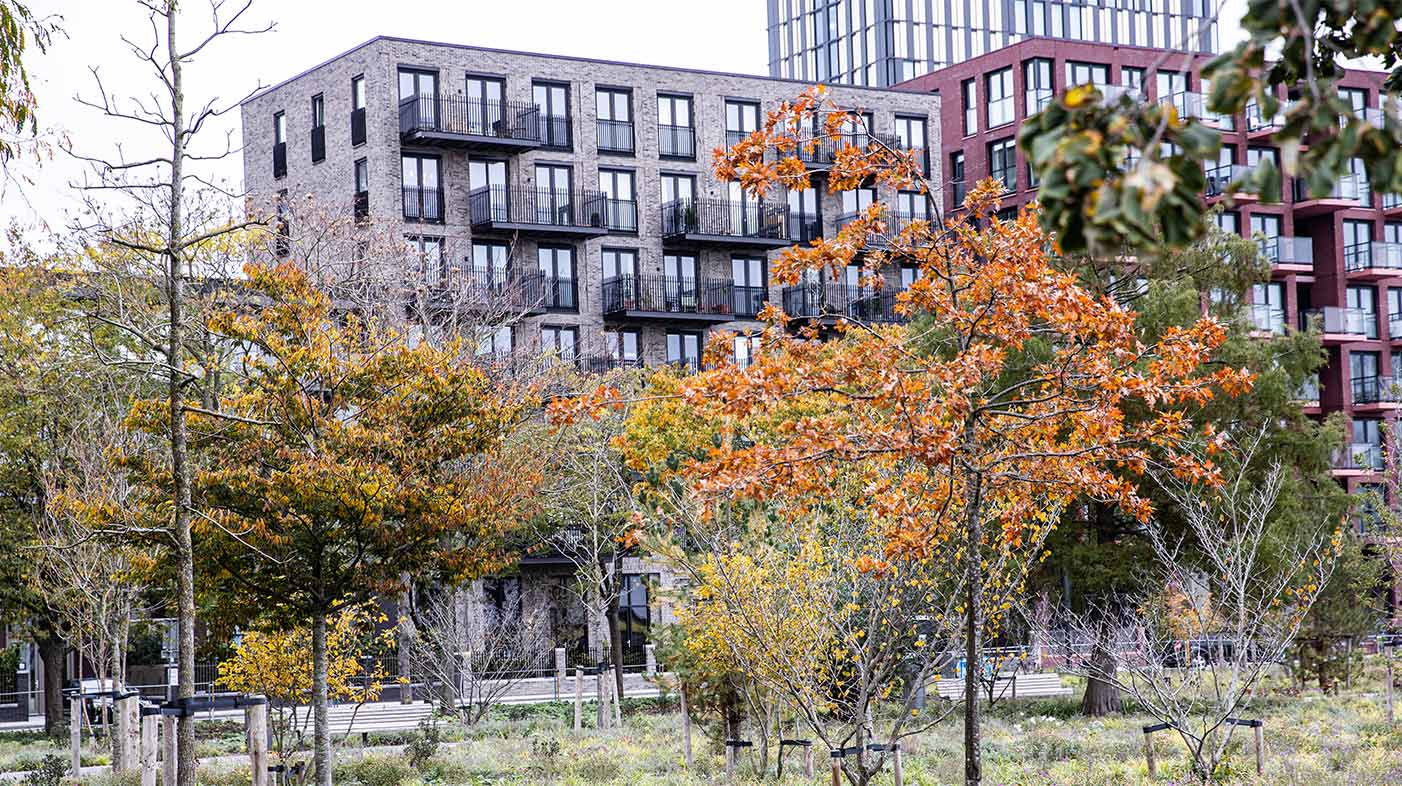 Voordat de inrichting van het nieuwe park werd gerealiseerd heeft Dolmans Wieringen Prins het werkterrein schoongemaakt en grondverbetering voor de beplanting toegepast.