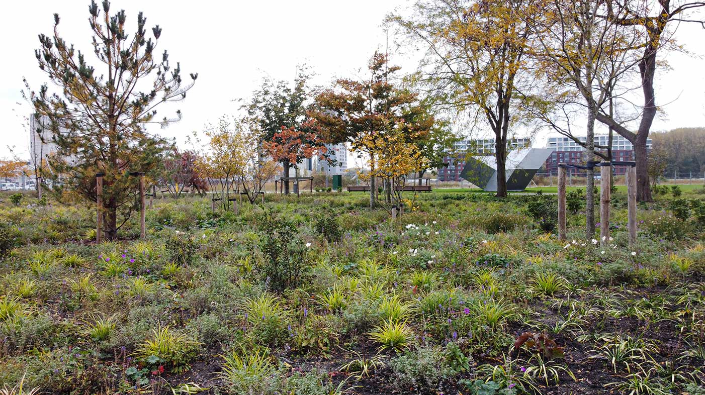 De nazorg, het onderhouden van het park, is ook in handen van Dolmans Wieringen Prins.