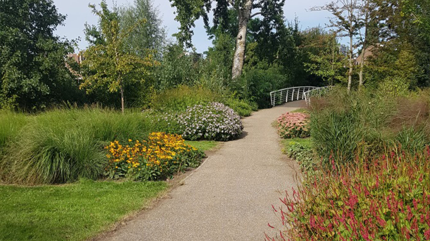 Daarnaast wordt alle beplanting op de juiste manier en in het juiste jaargetijde gesnoeid om het volgend jaar weer die mooie bloemen terug te krijgen.