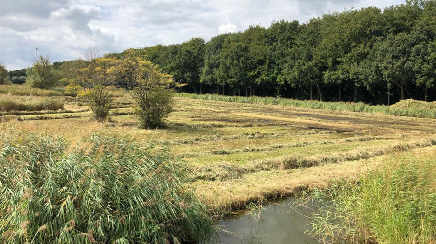 Poelen, bloemrijk gras, faunapassages en bosbeheer, alles komt aan bod.