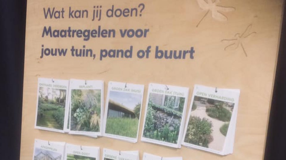 Naast de inspanningen van de gemeente is de rol die Dolmans hierbij heeft van belang.