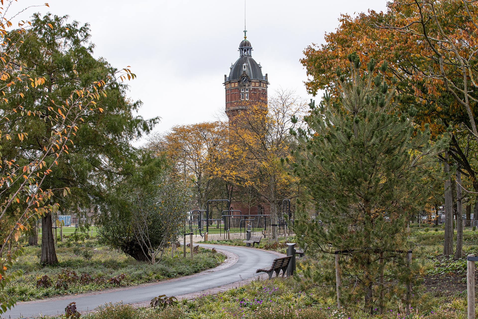 Tussen de monumentale bomen zijn extra bomen geplant en is groeiplaatsverbetering toegepast.