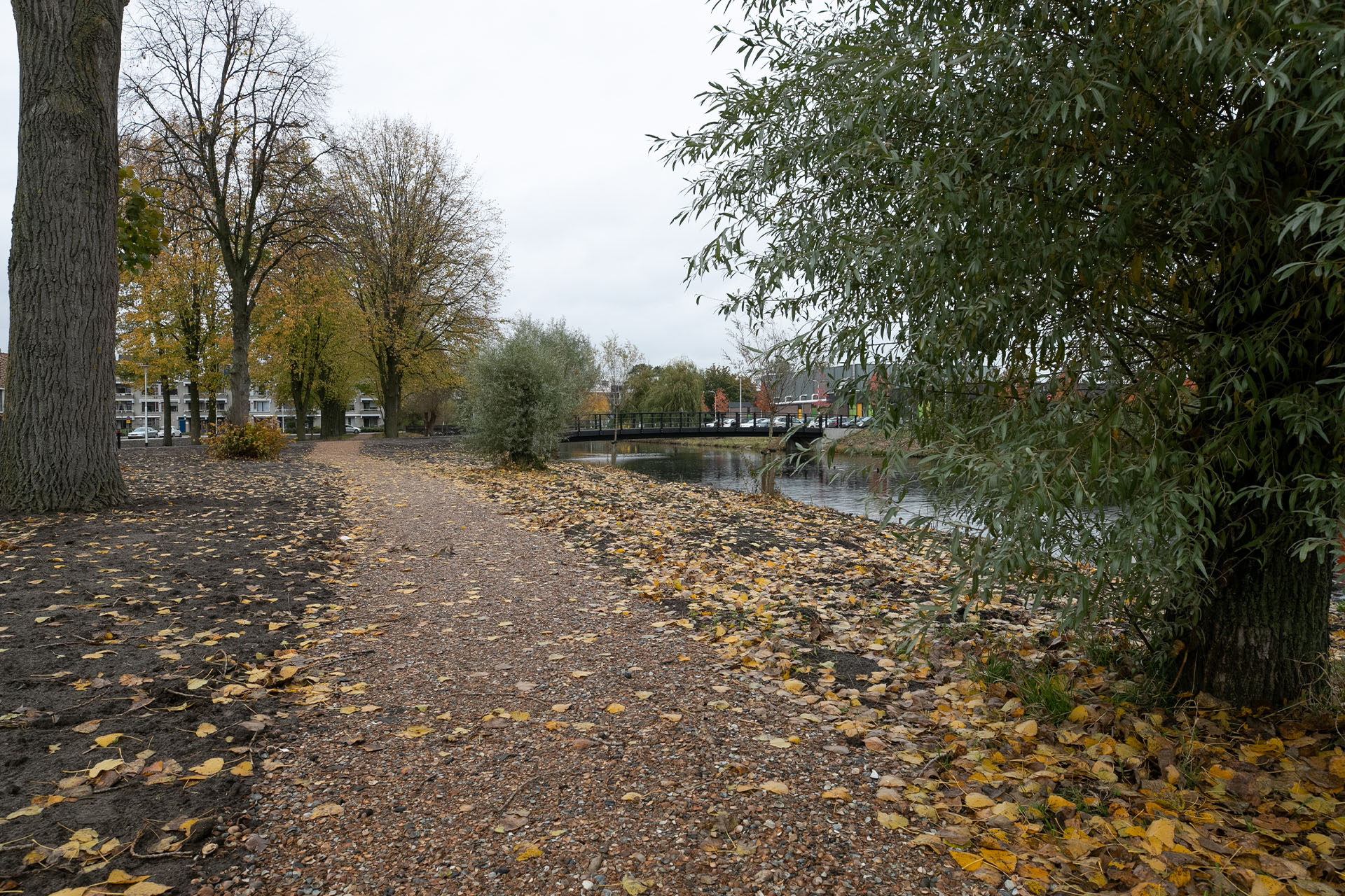 De werkzaamheden bestonden onder andere uit het aanleggen van de groenvoorzieningen, speelvoorzieningen en een ecologische oever.