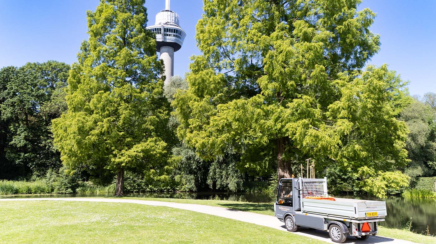 Van aanleg tot aan de nazorg dragen we ons steentje bij aan de realisatie van een van de mooiste parken van Rotterdam.