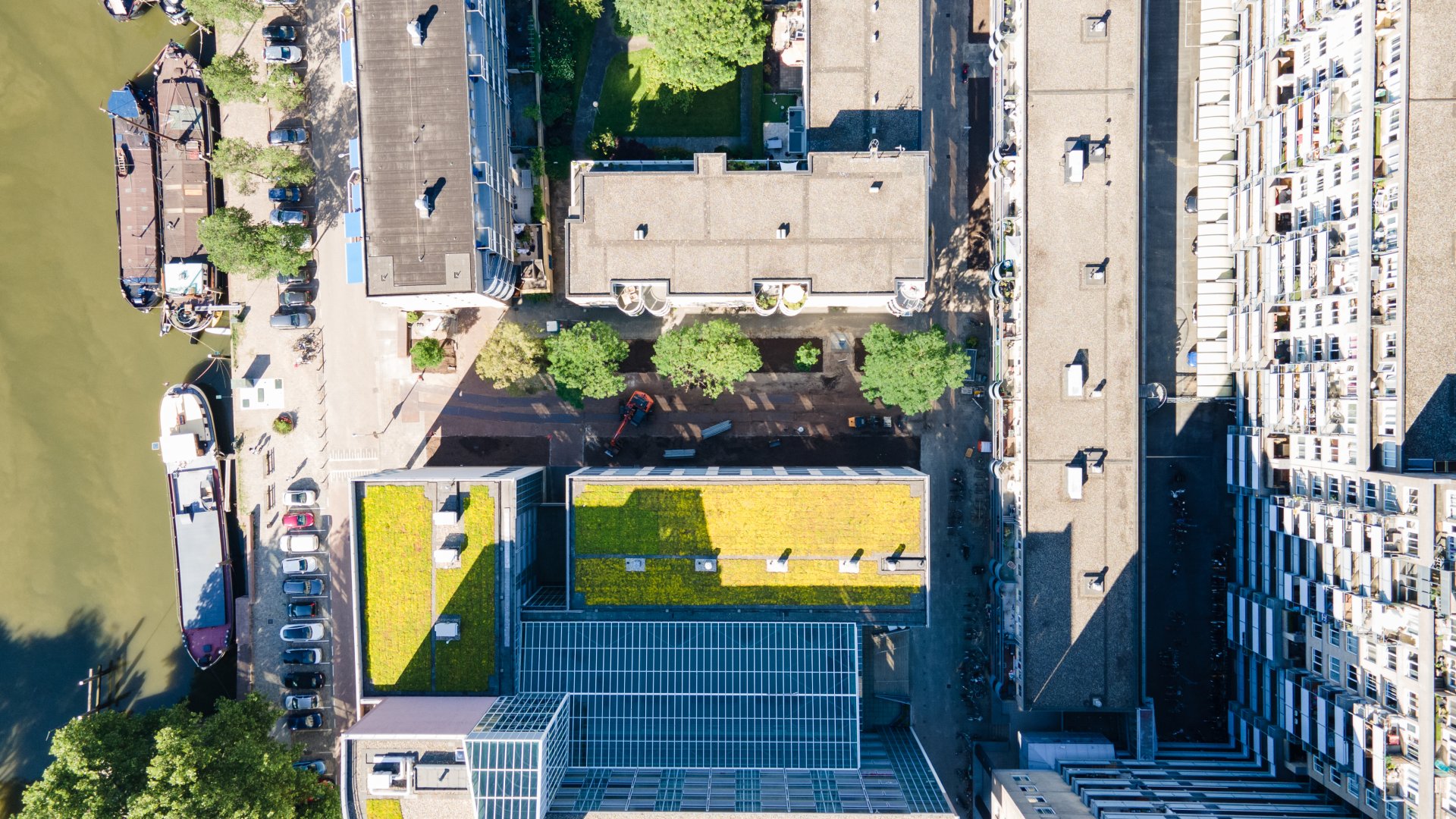 In opdracht van gemeente Rotterdam is Den Boer Groenprojecten, onderdeel van Dolmans Landscaping Group, in het centrum van de havenstad aan de slag gegaan.