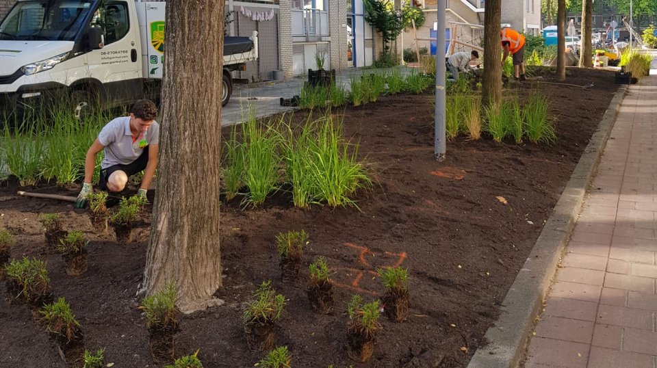 We veranderen twee saaie straten bestaande uit veel verharding, naar straten die er prachtig uitzien met veel plantvakken. Een hele nieuwe uitstraling.