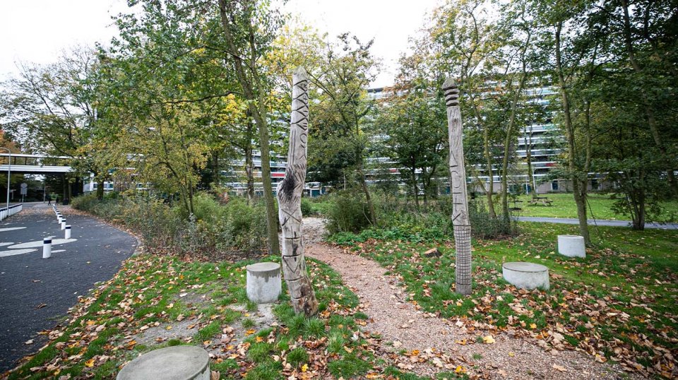 Bomen die na onderzoek niet meer toekomstbestendig bleken zijn gekapt en hergebruikt voor de inrichting van de natuurspeeltuin.