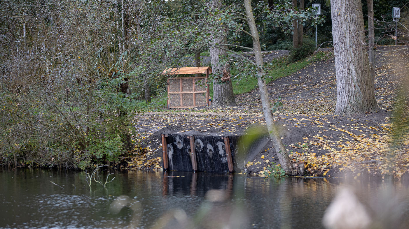 Er zijn nieuwe knotwilgen geplant en de groenstroken zijn ingezaaid met een bijenmengsel ter bevordering van de biodiversiteit.