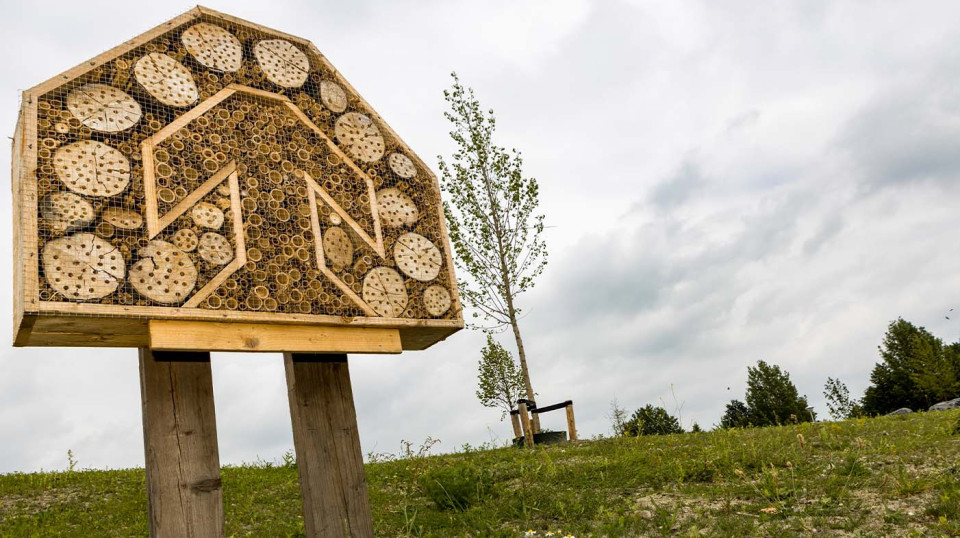 Dolmans vanuit ruimtelijke kwaliteit en groen. Binnen het ruimtelijk raamwerk van de opdrachtgever is een aantrekkelijk ontwerp opgesteld.