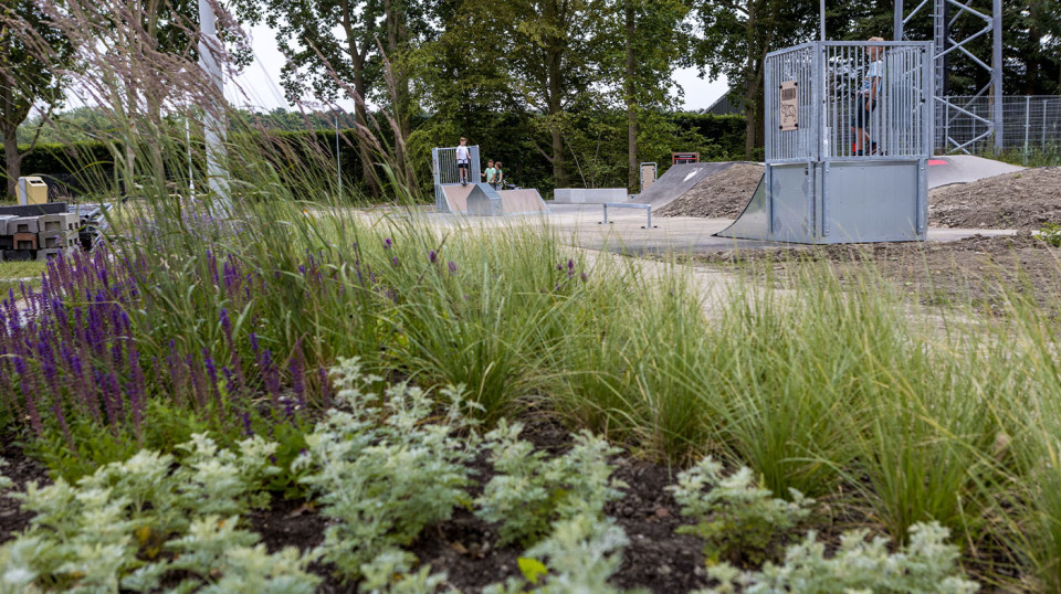 Tevens is Pius Floris bij het project betrokken voor de waardering van bestaande bomen en mogelijke integratie in het nieuw plan.