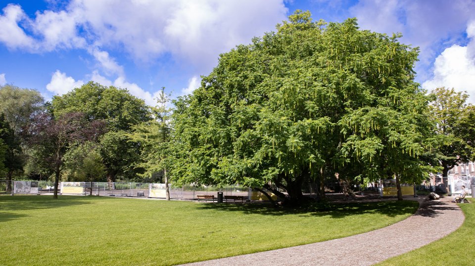 Jaarlijks genieten maar liefst 170 personen per m2 van de groene omgeving met historische bomen, grasveld en vijver.