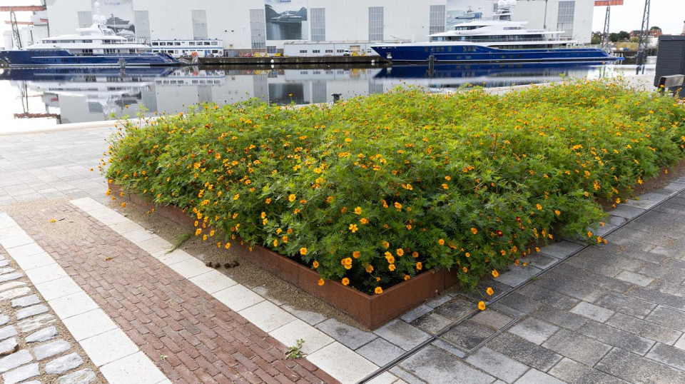 Het kwartier dat uit verschillende wijken bestaat is centraal gelegen, dichtbij alle voorzieningen van de stad en omringd door water, historie en industrieel erfgoed.