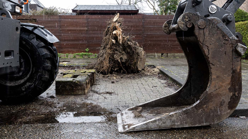 In totaal hebben we van de 33.000 bomen in de gemeente 150 zieke exemplaren vervangen. 