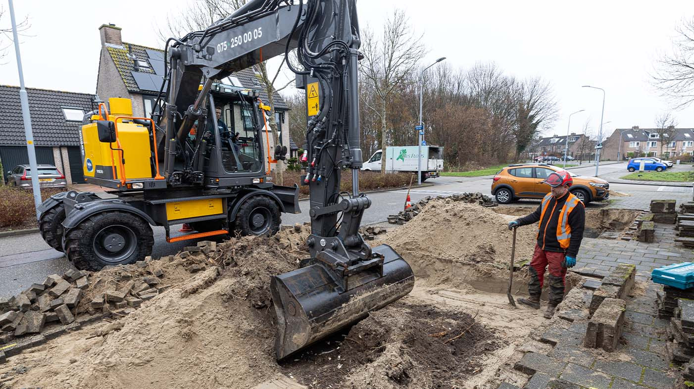 De omvang maakt deze klus bijzonder. Te meer ook omdat elke boom op een anders tuk ondergrond staat.