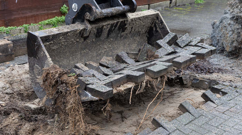 De bomen in perken zijn relatief makkelijk te vervangen maar bomen die in bestrating staan vergen meer werk en expertise.