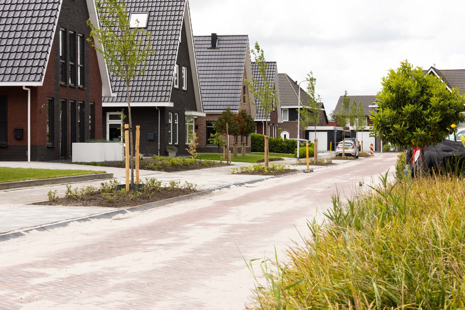 Het ontwerp en de plantenkeuze was al door de gemeente voorbereid. De aanplant is door Dolmans Landscaping Services Noord verzorgd.