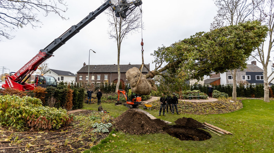 Wij hebben goed geluisterd naar alle wensen en die elementen meegenomen in het plan en de uitvoering.