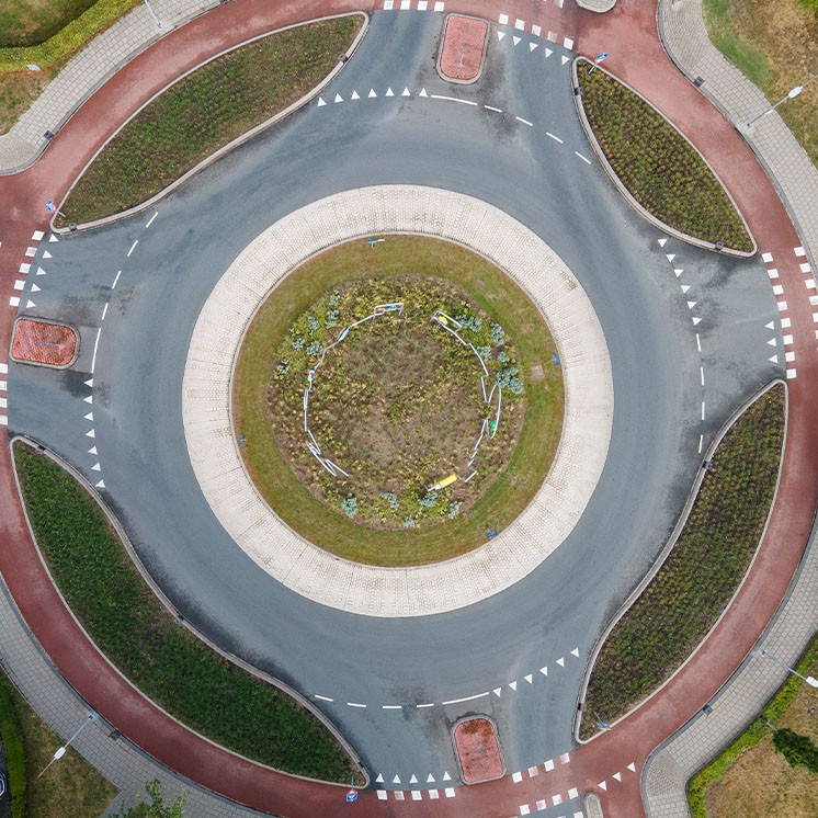 In opdracht van de gemeente Duiven is de Paul Verhoef rotonde met diverse grassoorten aangelegd. Door de aanplant krijgt het mooie en kleurrijke kunstwerk nog meer podium. 