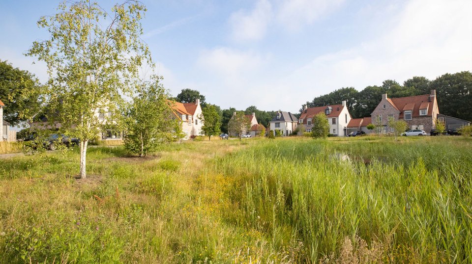 We planten naaldbomen en meerstammige krentenboompjes aan. Om de natuurlijke uitstraling te benadrukken wordt de weg meanderend vormgegeven.