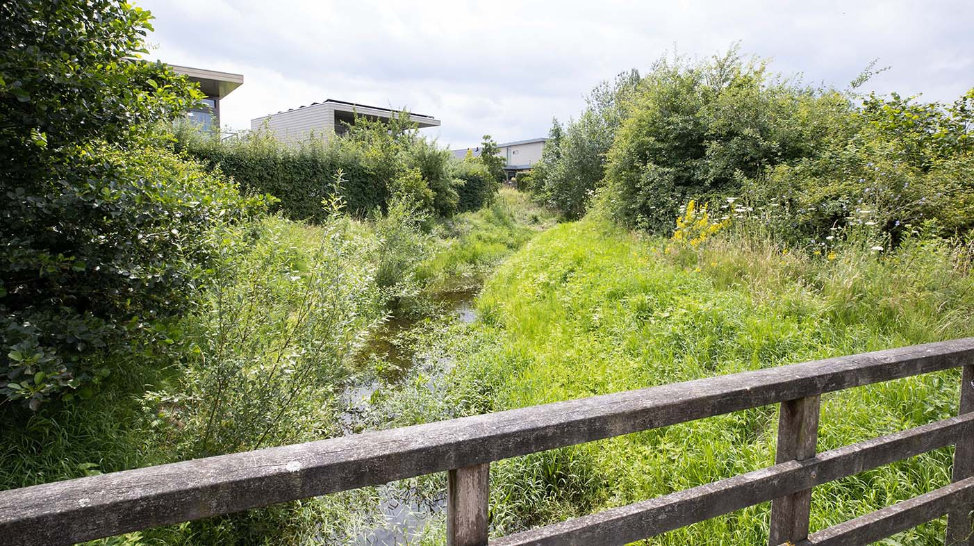 Een groene oase in een vinex-wijk. Alle overgangen van het beekdal naar de hoge zandgronden worden ‘gevangen‘ in een parkachtige woonomgeving.